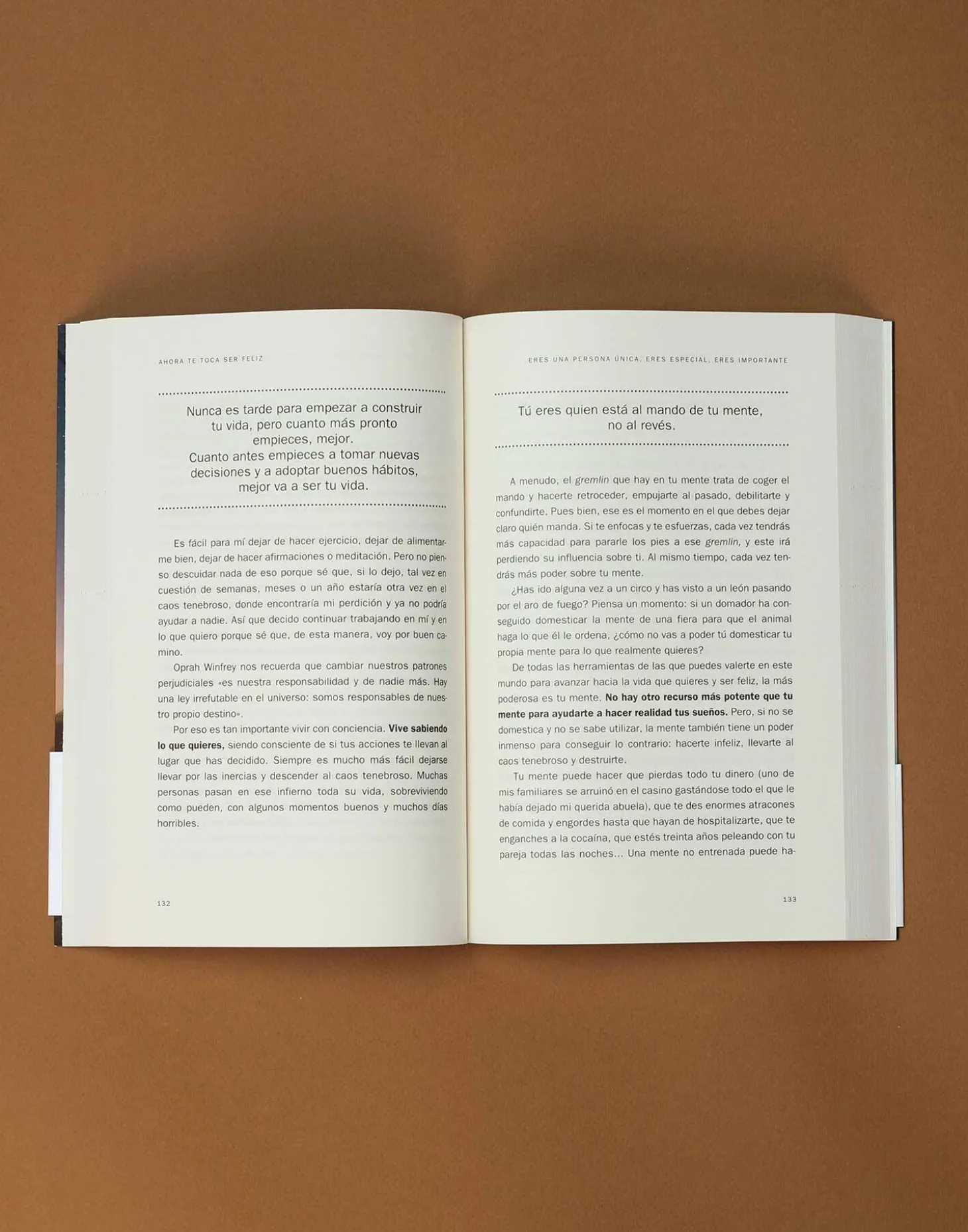Natura Selection Libros>Ahora Te Toca Ser Feliz