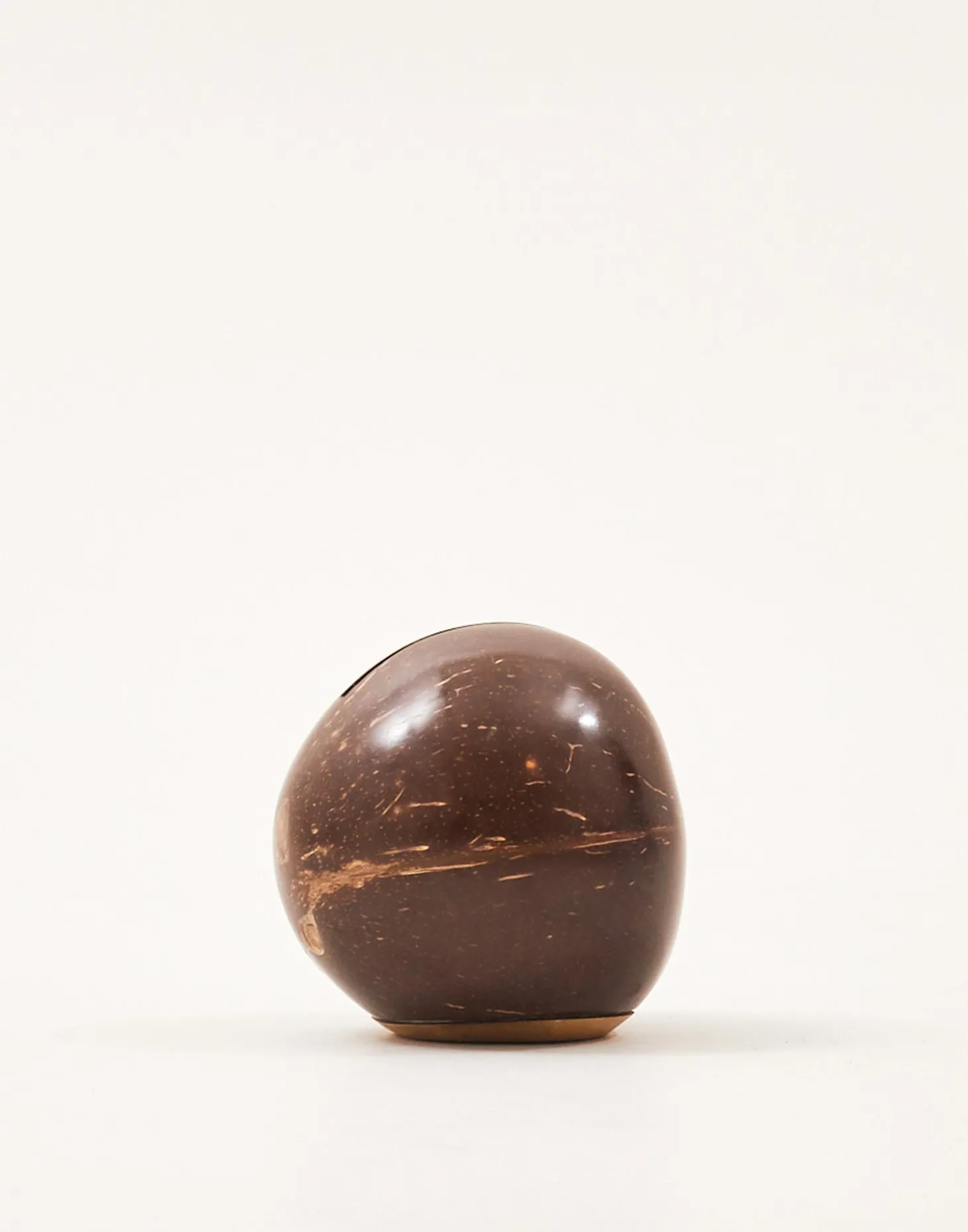 Natura Selection Electrónica Y Gadget | Decoración>Hucha Coco