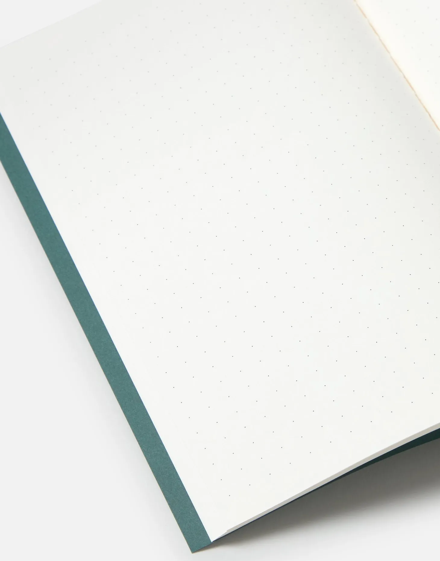 Natura Selection Papelería>Libreta Retro A5