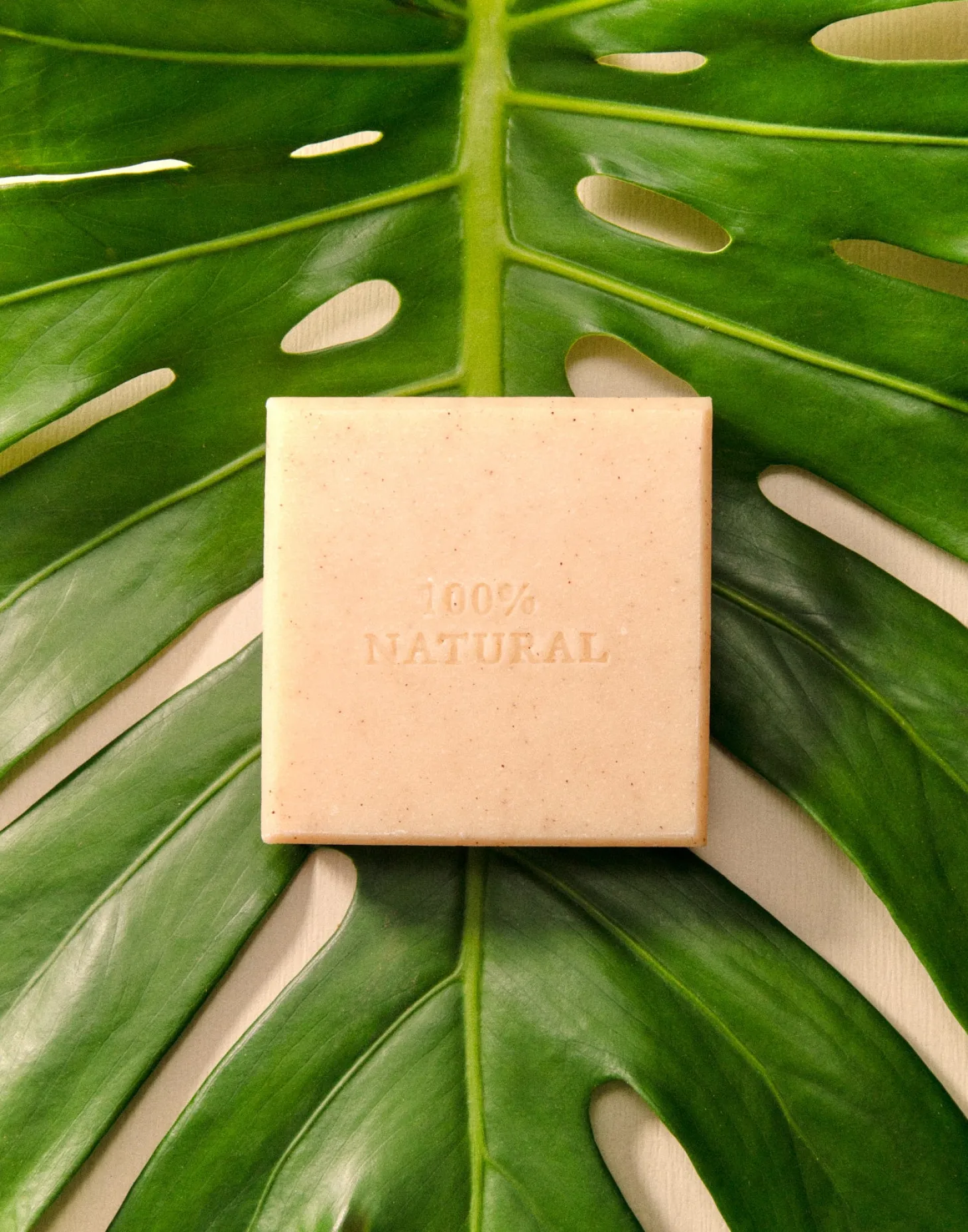 Natura Selection Bodycare & Beauty | Bodycare & Beauty>Pastilla Jabón Con Funda 150g