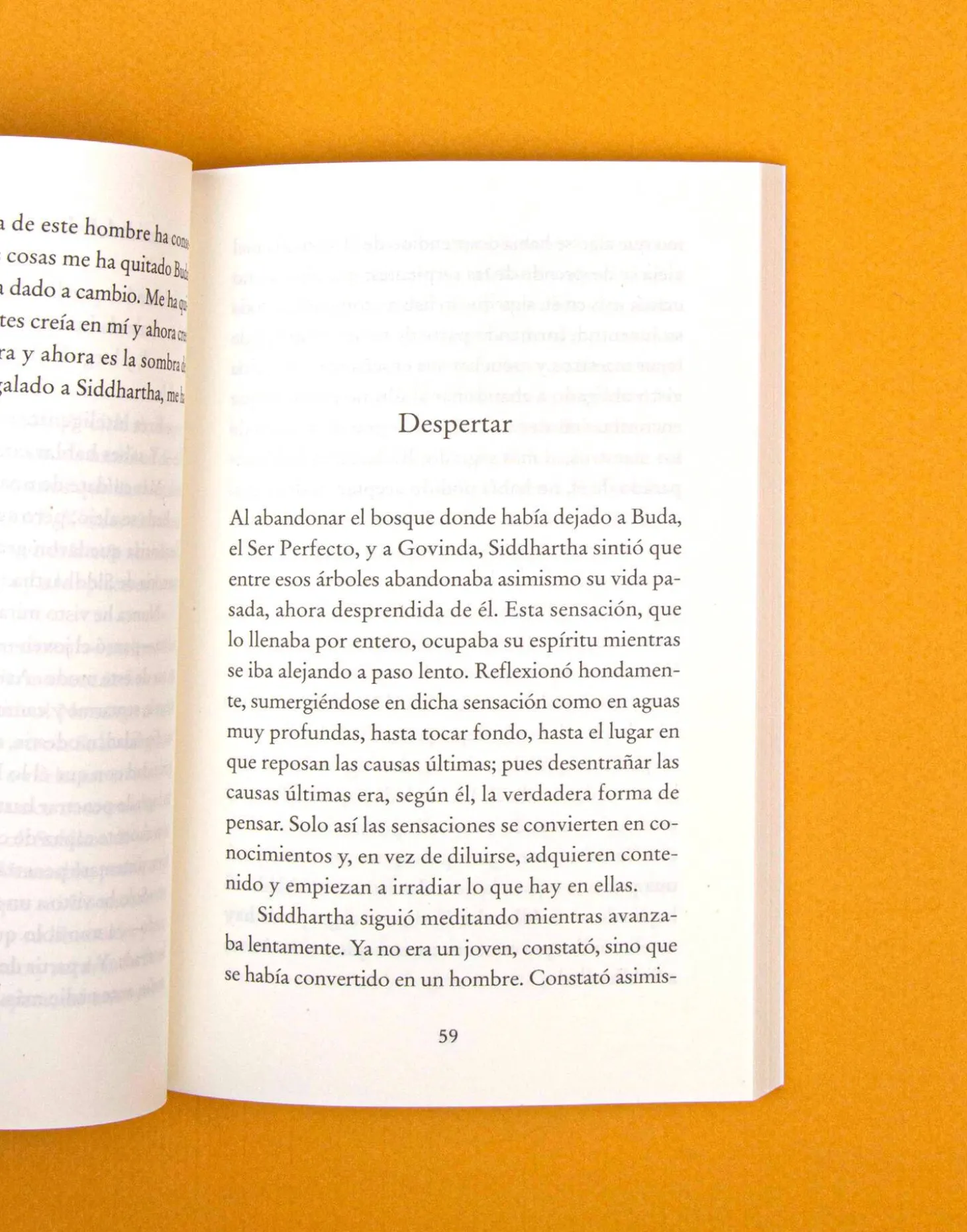 Natura Selection Libros>Siddhartha